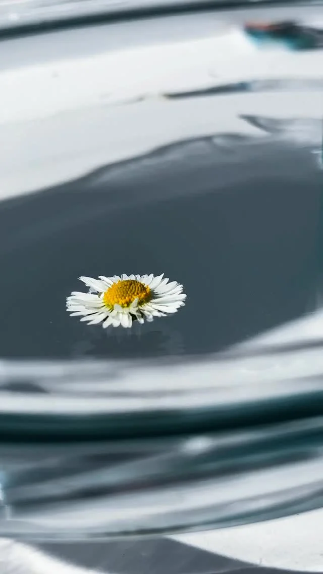 Un tocco di 𝐫𝐢𝐜𝐨𝐬𝐭𝐫𝐮𝐳𝐢𝐨𝐧𝐞 𝐦𝐨𝐥𝐞𝐜𝐨𝐥𝐚𝐫𝐞 💧 ed è subito primavera 🌼 con ciglia forti, brillanti e luminose come un raggio di sole! ☀️

Sapevi che InLei® Molecular 4 va ad agire anche sulla 𝐟𝐨𝐫𝐳𝐚, 𝐝𝐮𝐫𝐚𝐭𝐚 𝐝𝐞𝐥 𝐜𝐨𝐥𝐨𝐫𝐞, 𝐜𝐨𝐦𝐩𝐚𝐭𝐭𝐞𝐳𝐳𝐚 𝐞 𝐟𝐥𝐞𝐬𝐬𝐢𝐛𝐢𝐥𝐢𝐭𝐚̀? 🤓 È il prodotto di chiusura per eccellenza, che lavora sia in superficie sia in profondità delle ciglia grazie ai 𝐜𝐨𝐦𝐩𝐨𝐧𝐞𝐧𝐭𝐢 𝐚 𝐝𝐢𝐯𝐞𝐫𝐬𝐨 𝐩𝐞𝐬𝐨 𝐦𝐨𝐥𝐞𝐜𝐨𝐥𝐚𝐫𝐞. Non solo 🤫 la sua texture permette di creare quell’effetto bagnato con ciglia “a raggi di sole” che è super in trend!! 

❗️👉🏼 Il 𝟏𝟗, 𝟐𝟎 𝐞 𝟐𝟏 𝐚𝐩𝐫𝐢𝐥𝐞 usa il codice 𝐁𝐔𝐎𝐍𝐀𝐏𝐀𝐒𝐐𝐔𝐀𝟐𝟓 su www.lashinbrow.com per avere il 𝟐𝟎% 𝐝𝐢 𝐬𝐜𝐨𝐧𝐭𝐨 𝐬𝐮 𝐭𝐮𝐭𝐭𝐨 𝐢𝐥 𝐜𝐚𝐭𝐚𝐥𝐨𝐠𝐨✨ e stupisci le tue clienti con le ultime novità del settore! - 𝑜𝑛𝑙𝑦 𝑓𝑜𝑟 𝐼𝑡𝑎𝑙𝑦

𝐄𝐍/
A touch of 𝐦𝐨𝐥𝐞𝐜𝐮𝐥𝐚𝐫 𝐫𝐞𝐜𝐨𝐧𝐬𝐭𝐫𝐮𝐜𝐭𝐢𝐨𝐧 💧 and it’s instantly spring 🌼 with strong and glowing lashes, bright like the sun! ☀️

Did you know that InLei® Molecular 4 also works on 𝐬𝐭𝐫𝐞𝐧𝐠𝐭𝐡, 𝐜𝐨𝐥𝐨𝐫 𝐝𝐮𝐫𝐚𝐛𝐢𝐥𝐢𝐭𝐲, 𝐟𝐢𝐫𝐦𝐧𝐞𝐬𝐬 𝐚𝐧𝐝 𝐟𝐥𝐞𝐱𝐢𝐛𝐢𝐥𝐢𝐭𝐲? 🤓 It is the ultimate locking product, working both on the surface and deep within the lashes thanks to its 𝐝𝐢𝐟𝐟𝐞𝐫𝐞𝐧𝐭 𝐦𝐨𝐥𝐞𝐜𝐮𝐥𝐚𝐫 𝐰𝐞𝐢𝐠𝐡𝐭 𝐜𝐨𝐦𝐩𝐨𝐧𝐞𝐧𝐭𝐬. But that’s not all 🤫 its texture allows you to create that wet effect with “sunray shaped” lashes which is super on trend!!!

#inlei #inleilashfiller #lashfiller25_9 #molecular4 #laminazioneciglia #lashmolecular #madeinitaly #lashaddict
